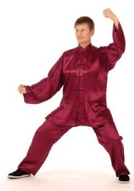 Image result for Wushu Tai Chi Club
