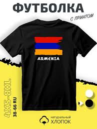 Image result for Футболка с флагом армении