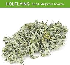 Attēlu rezultāti vaicājumam “Artemisia vulgaris leaf”