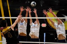 Image result for Newbury Volleyball Club
