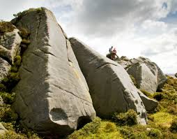 Image result for Ribble Valley Crc