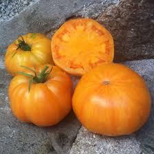 Afbeeldingsresultaat voor amana orange beefsteak tomato