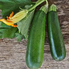 Image result for Zucchini