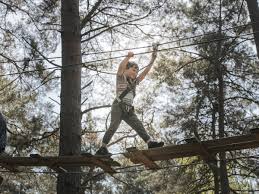 Image result for The Go Ape Experience (Swinley Forest)