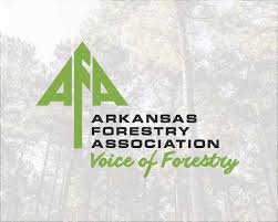 Image result for Wood Green A F S Association