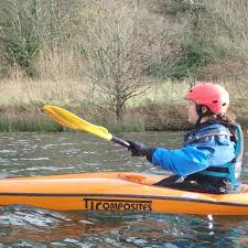 Image result for Seren Dwr