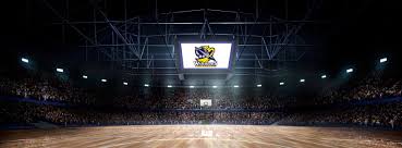 Image result for Shropshire Warriors