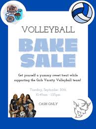 Image result for Beacon Volleyball Club