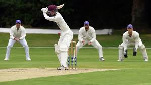 Image result for Saffron Walden Cricket Club