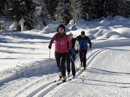 Image result for Tyneside Loipers