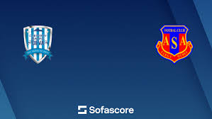 Image result for Deva Handball Club