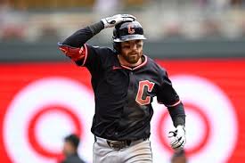 Image result for Schneemann