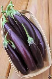 Afbeeldingsresultaat voor fengyuan purple eggplant