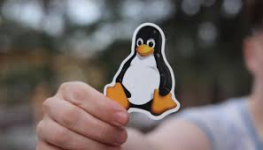 Image result for linux tux