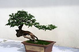 Image result for 艰苦阅历 孔泰初