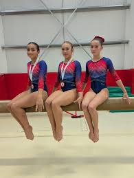 Image result for Carousel School Of Gymnastics