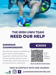 Image result for Dublin Underwater Hockey Team