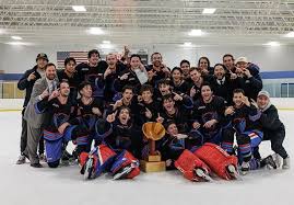 Image result for Demons Skater Hockey Club