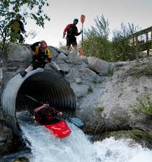 Image result for Kingfisher Canoe Club
