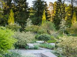 Image result for Ulf Nordfjell