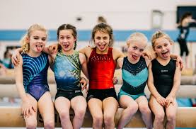 Image result for Park Wrekin Gymnastics Club