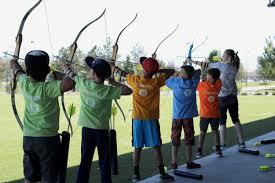 Image result for Blue Arrows Archery Club