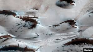 Image result for mars trees