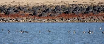 Image result for Ashurst WI*