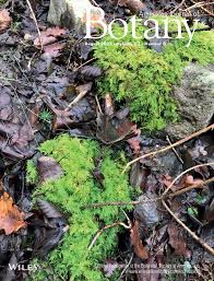 Image result for pfanzelt tehron