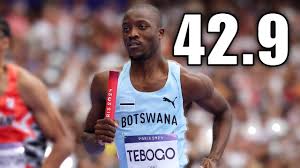 Image result for Tobogo