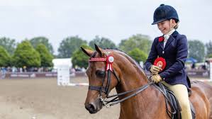 Image result for Stoneleigh Riding Club