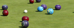 Image result for Havers Park Bowls Club