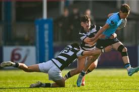 Image result for Belvedere Park Junior Football Club