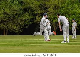 Image result for Hellingly Cricket Club