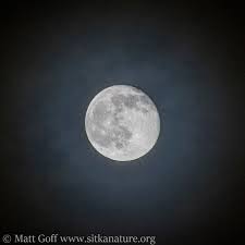 Attēlu rezultāti vaicājumam “Lunar corona”