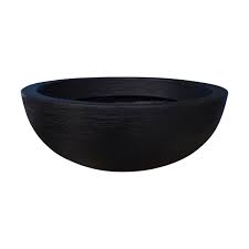 Image result for bacía