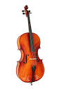 Know Your Cello Parts - Life123