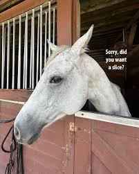 Resultado de imagen para sliced horse