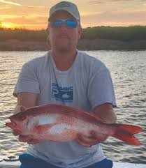 Image result for Rhomboplites aurorubens