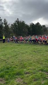 Image result for Tynedale Harriers Athletics Club