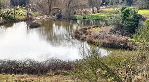 Image result for Windlesham United