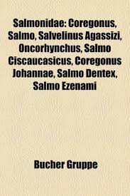 Image result for Salmo ezenami