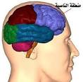 http://t0.gstatic.com/images?q=tbn:ANd9GcSwKmiXrJhJui79inpCEM2e9RlUyGRVqKDOfRJtNqP3RCp8U-vaZPpvLw