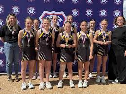 Image result for Top Corner Hoxton Netball