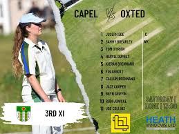 Image result for Capel Cricket Club