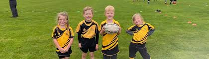 Image result for Dumfries Rugby Football Club
