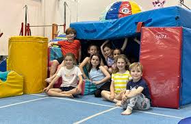 Image result for South Essex Gymnastics Club