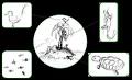 Fauna - Wikipedia, the free encyclopedia