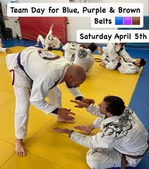 Image result for Redbridge Judo Club