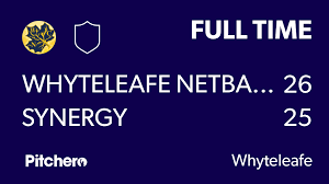 Image result for Whyteleafe Netball Club